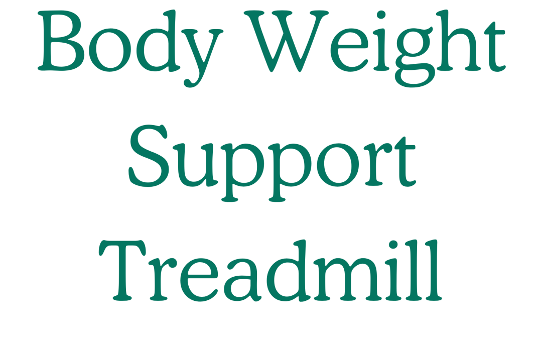 Body Weight Support Treadmill