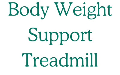 Body Weight Support Treadmill