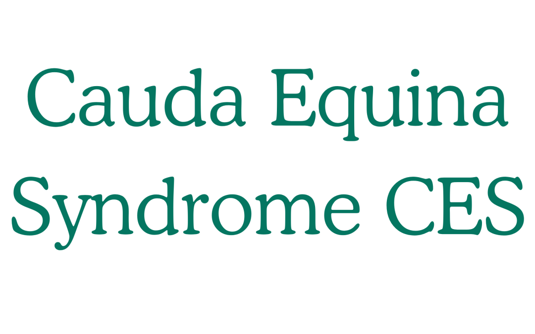 Cauda Equina Syndrome CES