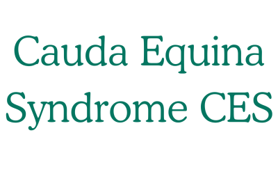 Cauda Equina Syndrome CES